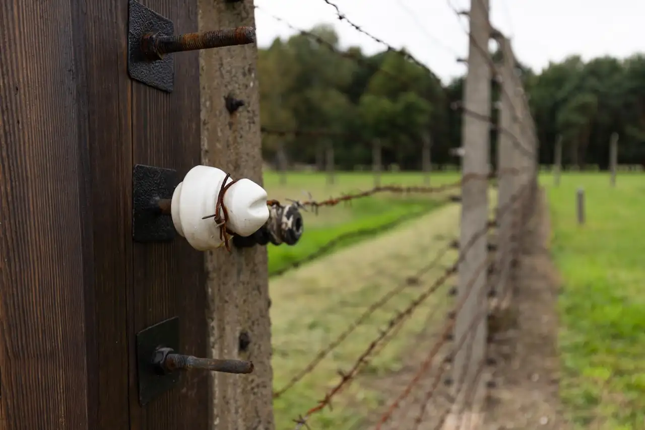 Close-up shot of an insulator on a barbed wire fence with wooden post in a green field.